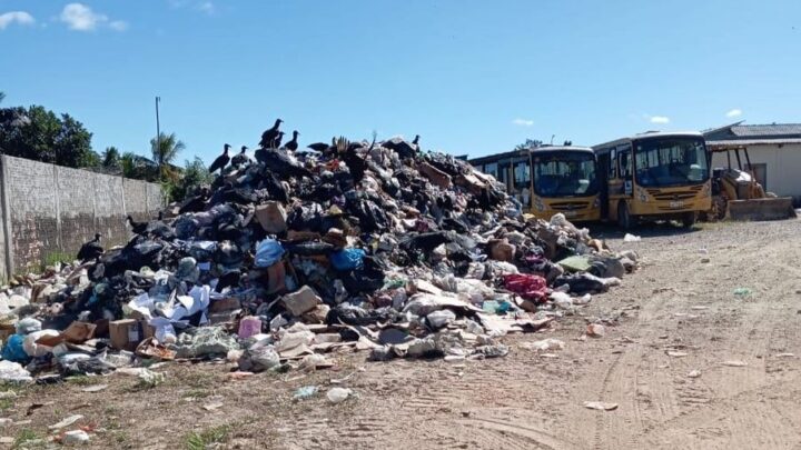 Mau odor, urubus e moscas proporcionados por lixão afetam população de Pacaraima